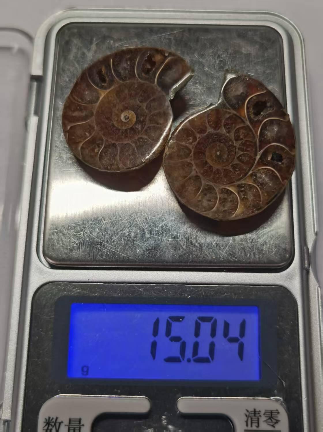 七河·世界币章水晶矿标化石杂件小拍（总第42期）（周一结标） 藏家出品X789（10）马达加斯加中生代菊石化石对开品 本件拍品由合作藏家负责邮寄