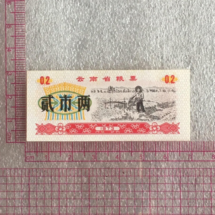        1973年云南省粮票贰市两全新品未流通1组5枚原版真品如图供应票证旧藏文玩艺术收藏