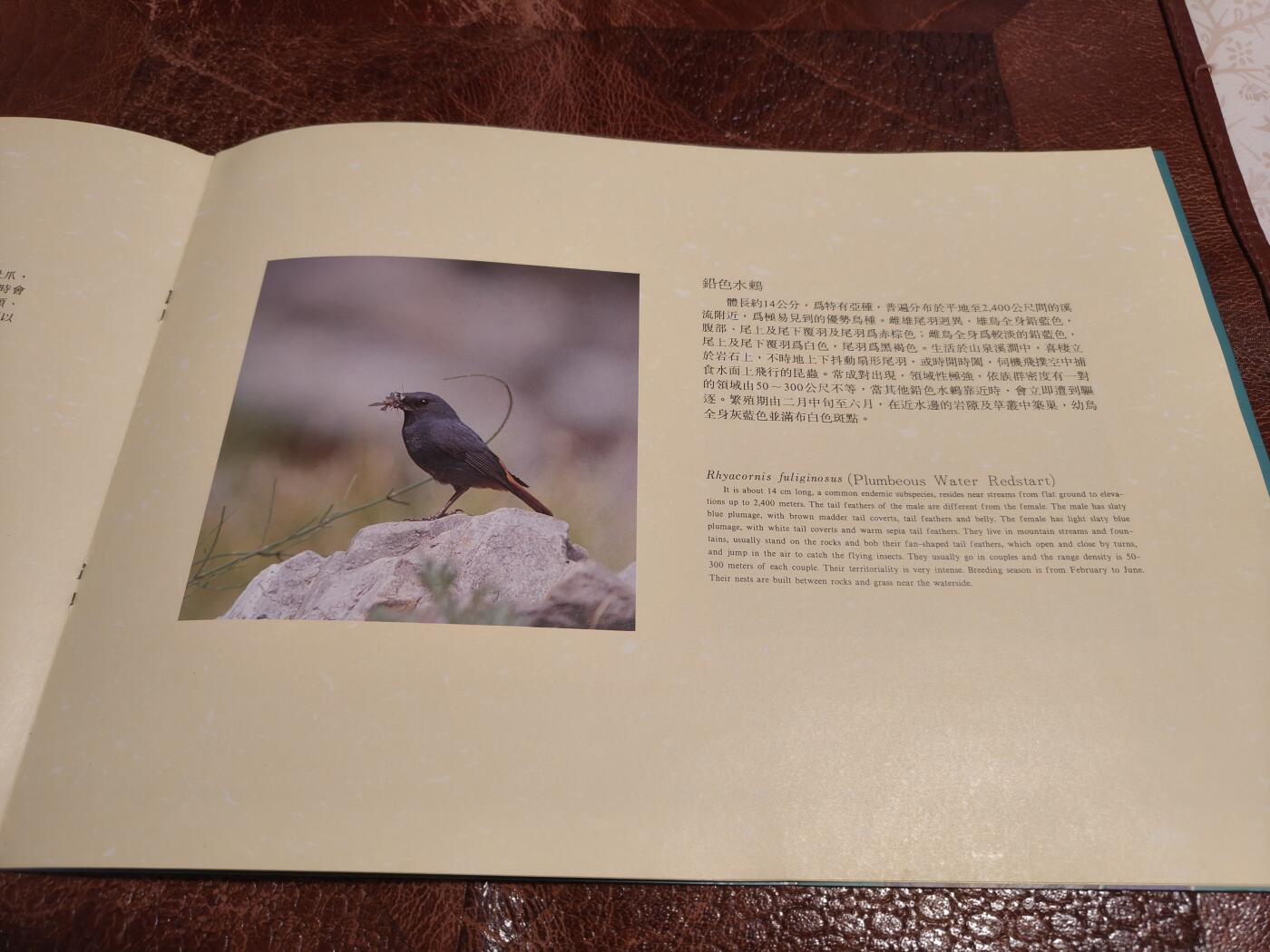 绝版珍藏 1991年台湾溪流鸟类邮票精装册 大版票+全彩图文解说 九五品