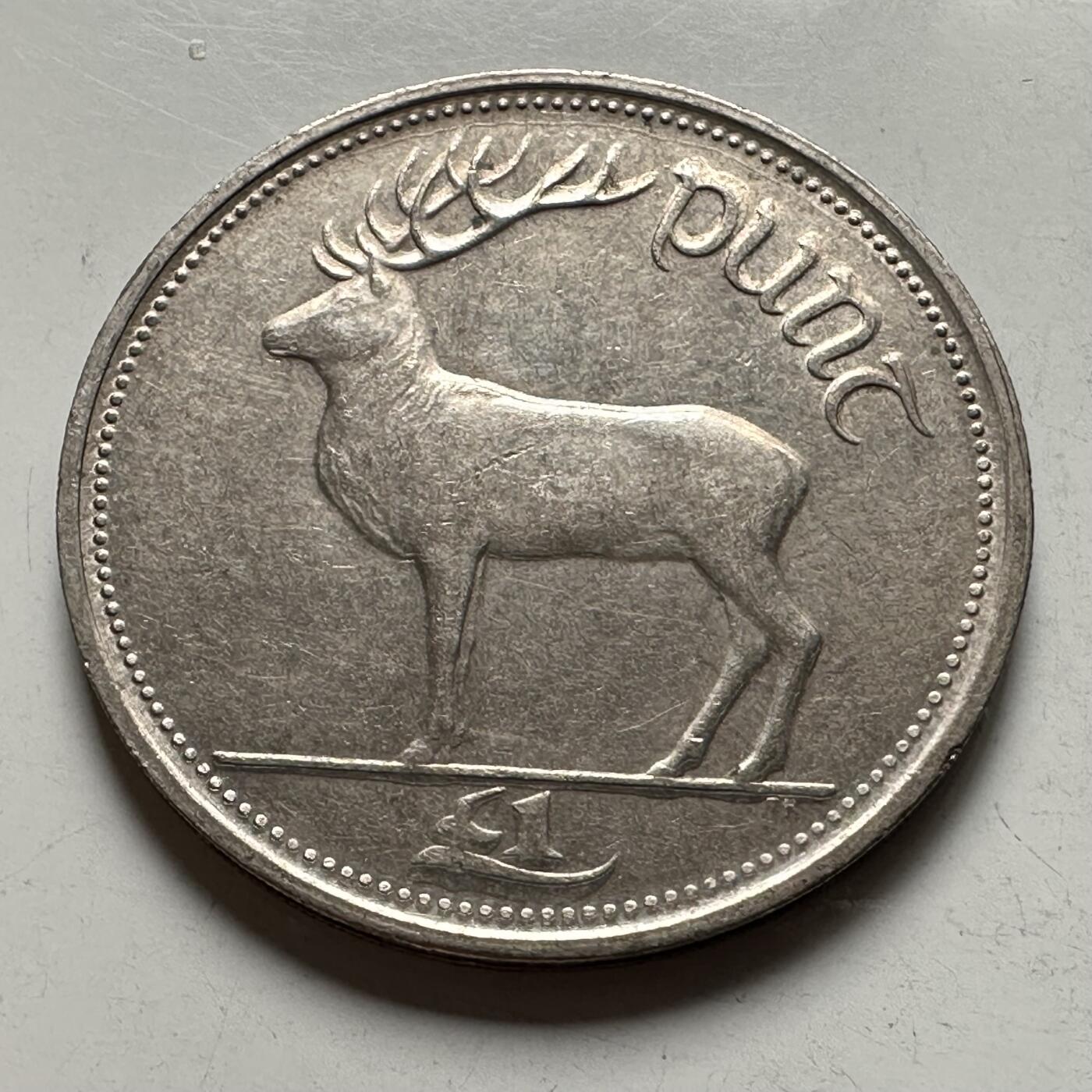 🌹外币初藏🌹🐯2026年第28场   每周二四六晚8️⃣点 接代拍 爱尔兰1990年1镑