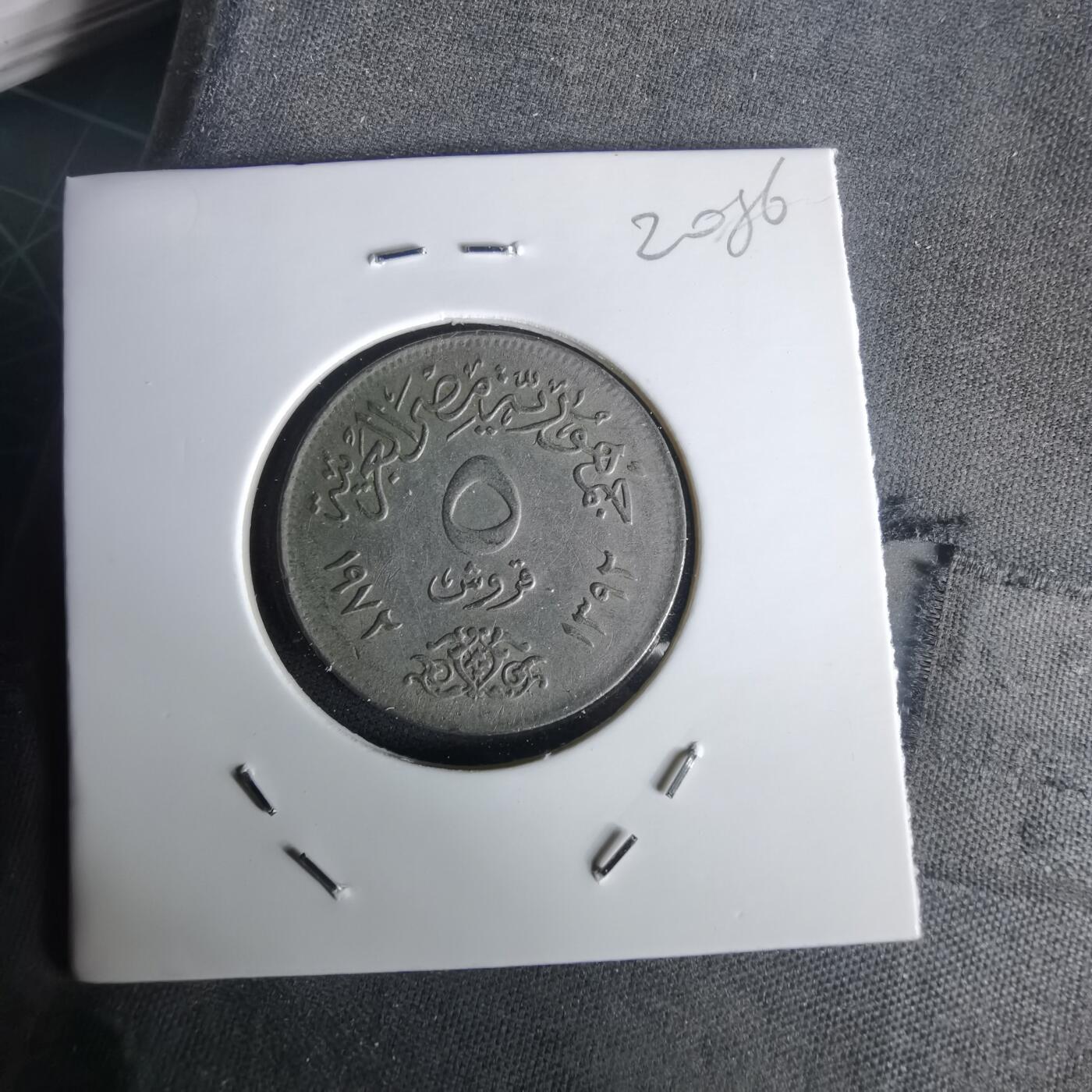 沼泽如烟--第1020场