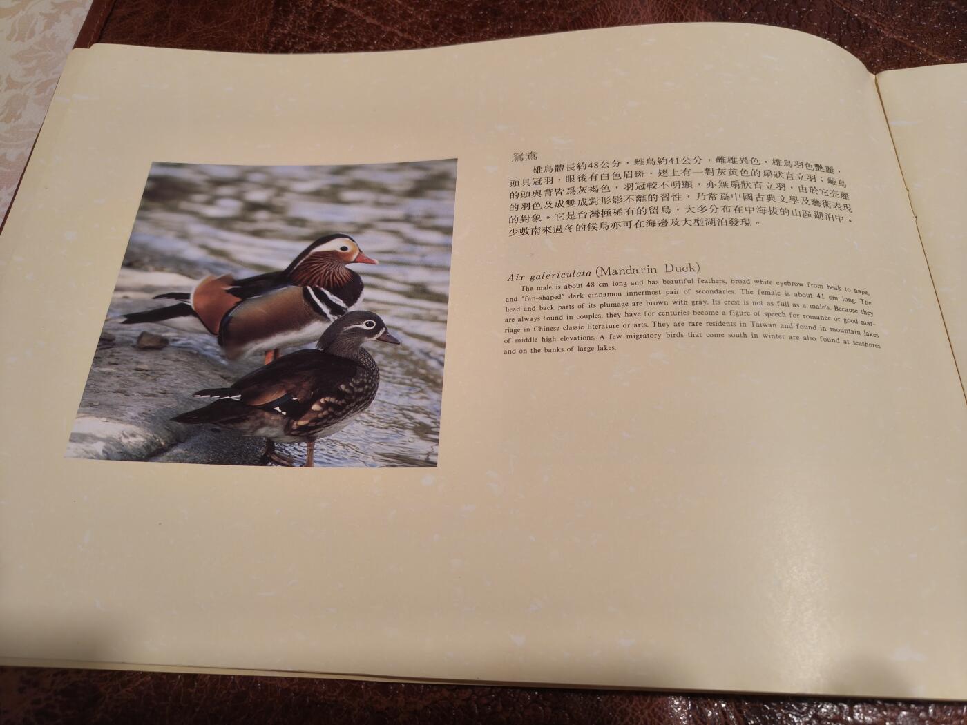 绝版珍藏 1991年台湾溪流鸟类邮票精装册 大版票+全彩图文解说 九五品