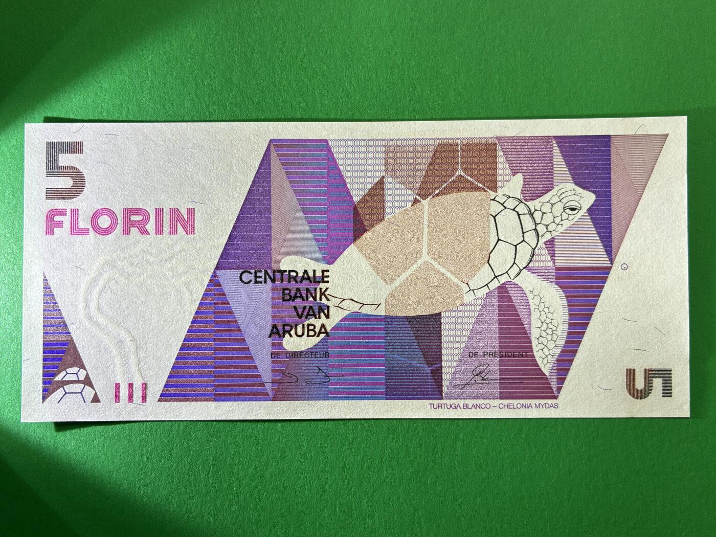 咖啡豆•收藏 2026年Mar_19th世界各国纸币拍卖 阿鲁巴 1990年 5弗罗林 全新UNC 外国 美洲纸币