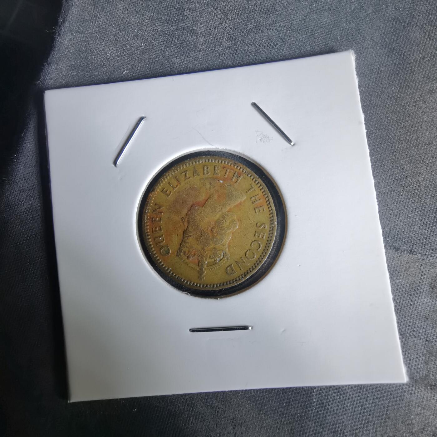 沼泽如烟--第1020场