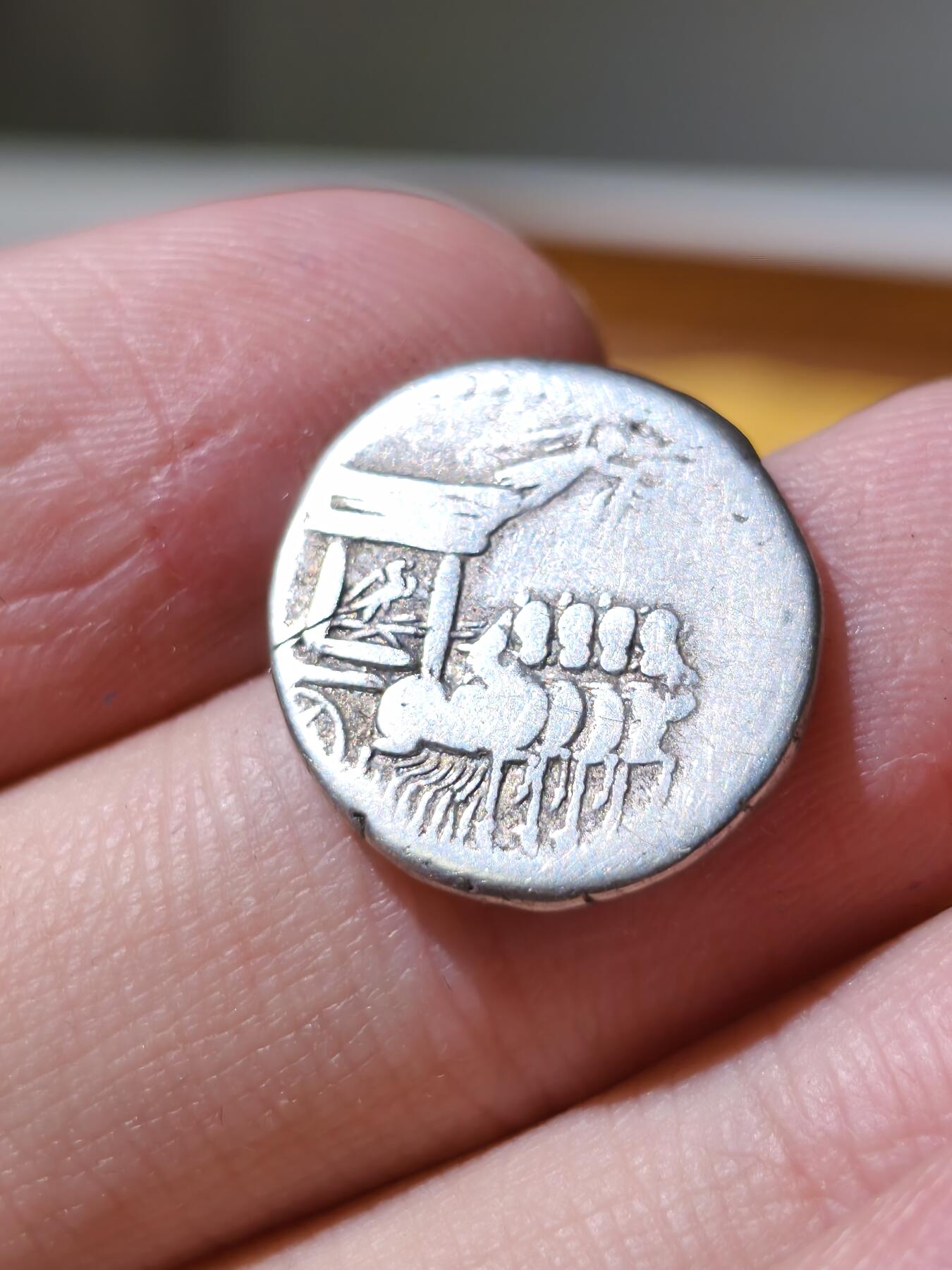 星盘世界钱币拍卖