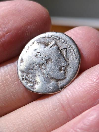 星盘世界钱币拍卖 - 古罗马共和时期银币，面值1狄纳里，公元前157年,正面是女神戴盔头像，背面胜利女神维多利亚驾驶马车