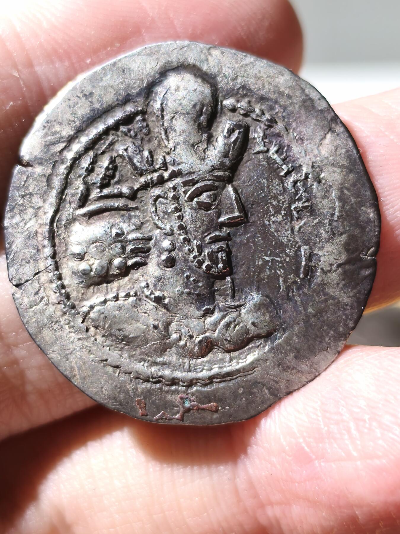 星盘世界钱币拍卖