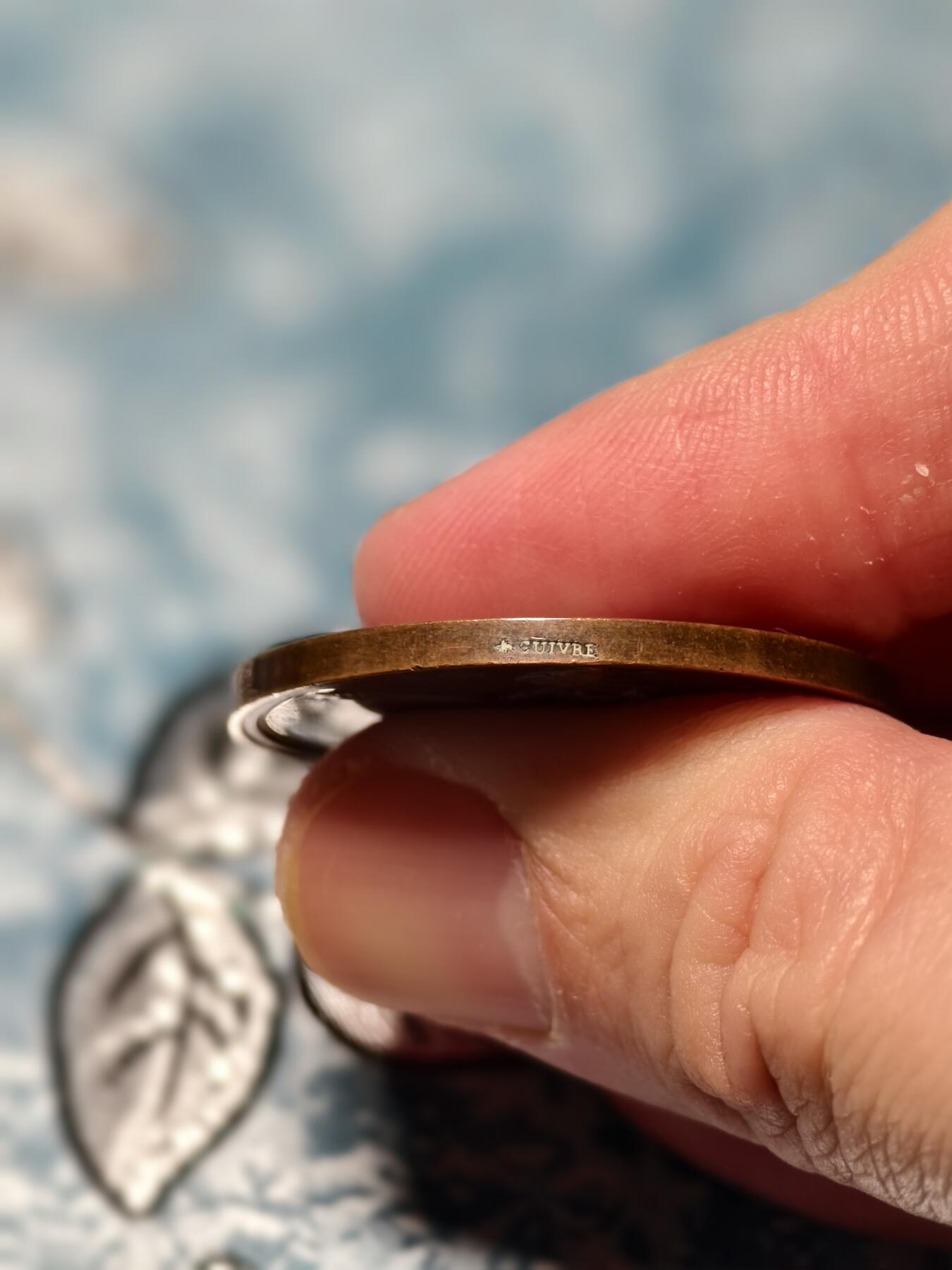 抚柳草堂-第十六期章牌钱币  奖章勋章限时免佣 满百包邮 放漏专场 19世纪法国塔尔纳-加龙省文理与艺术学会纪念铜章 15.6克 33.5mm 早期蜜蜂边铭