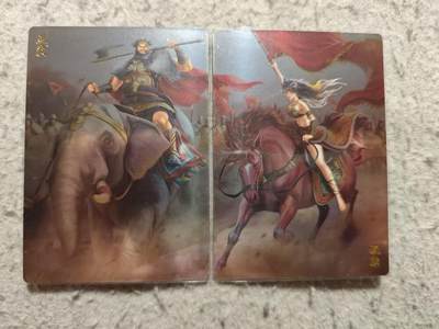 满赠PR！！龙虎卡牌-七八场（满200元包邮，无佣金，每周六结拍，欢迎送拍） - 镜面卡2张 锦绣三国 祝融&孟获 双拼