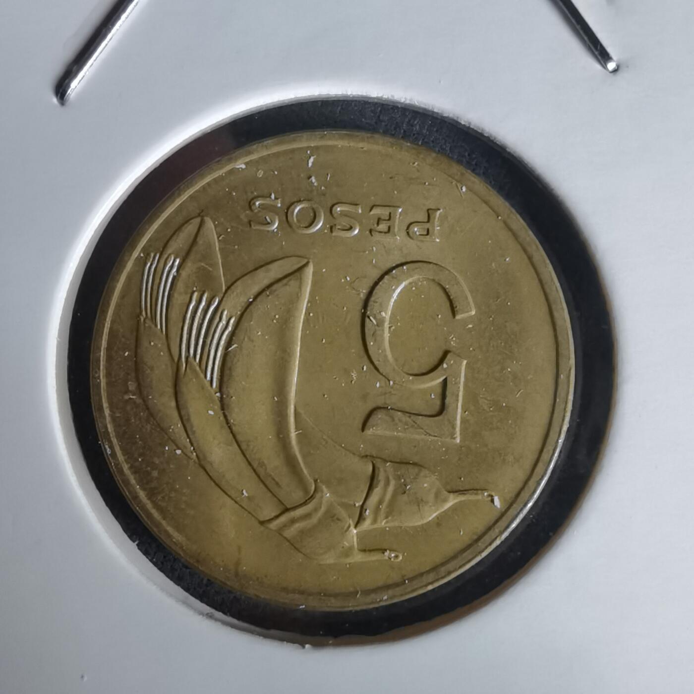 沼泽如烟--第1020场 乌拉圭1969年5比索