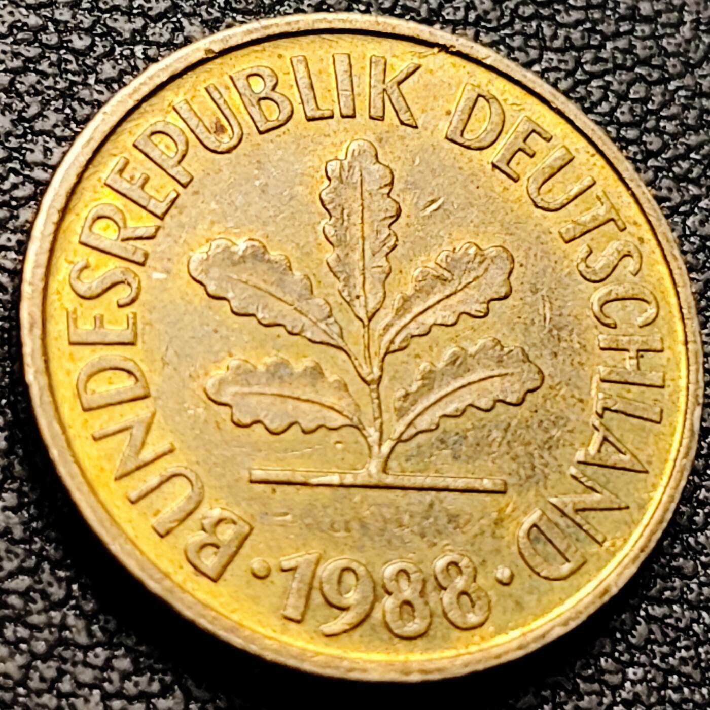 泉币菌-第208场-拍品多 请提前出价