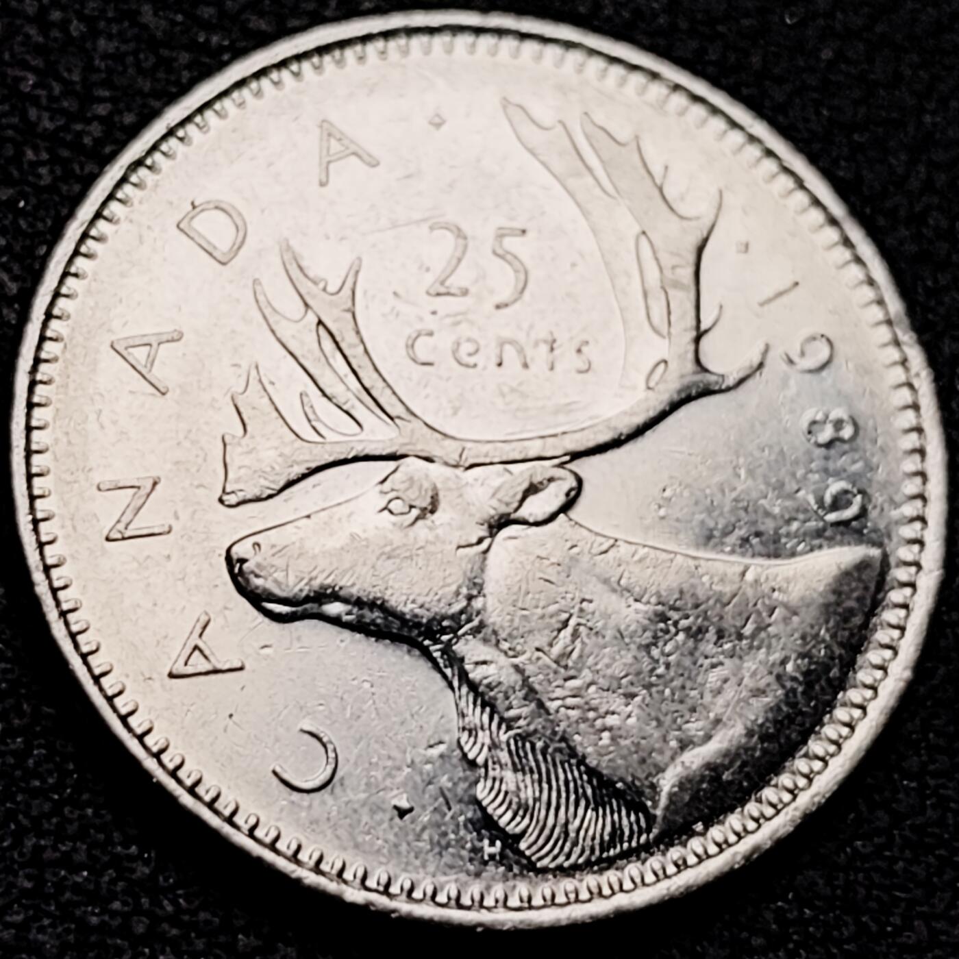 泉币菌-第209场-拍品多 请提前出价 。