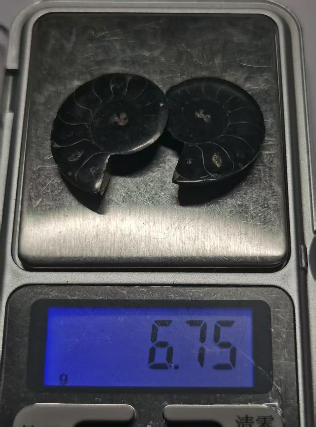 七河·世界币章水晶矿标化石杂件小拍（总第42期）（周一结标） 藏家出品X782（5）马达加斯加中生代菊石化石对开品 本件拍品由合作藏家负责邮寄