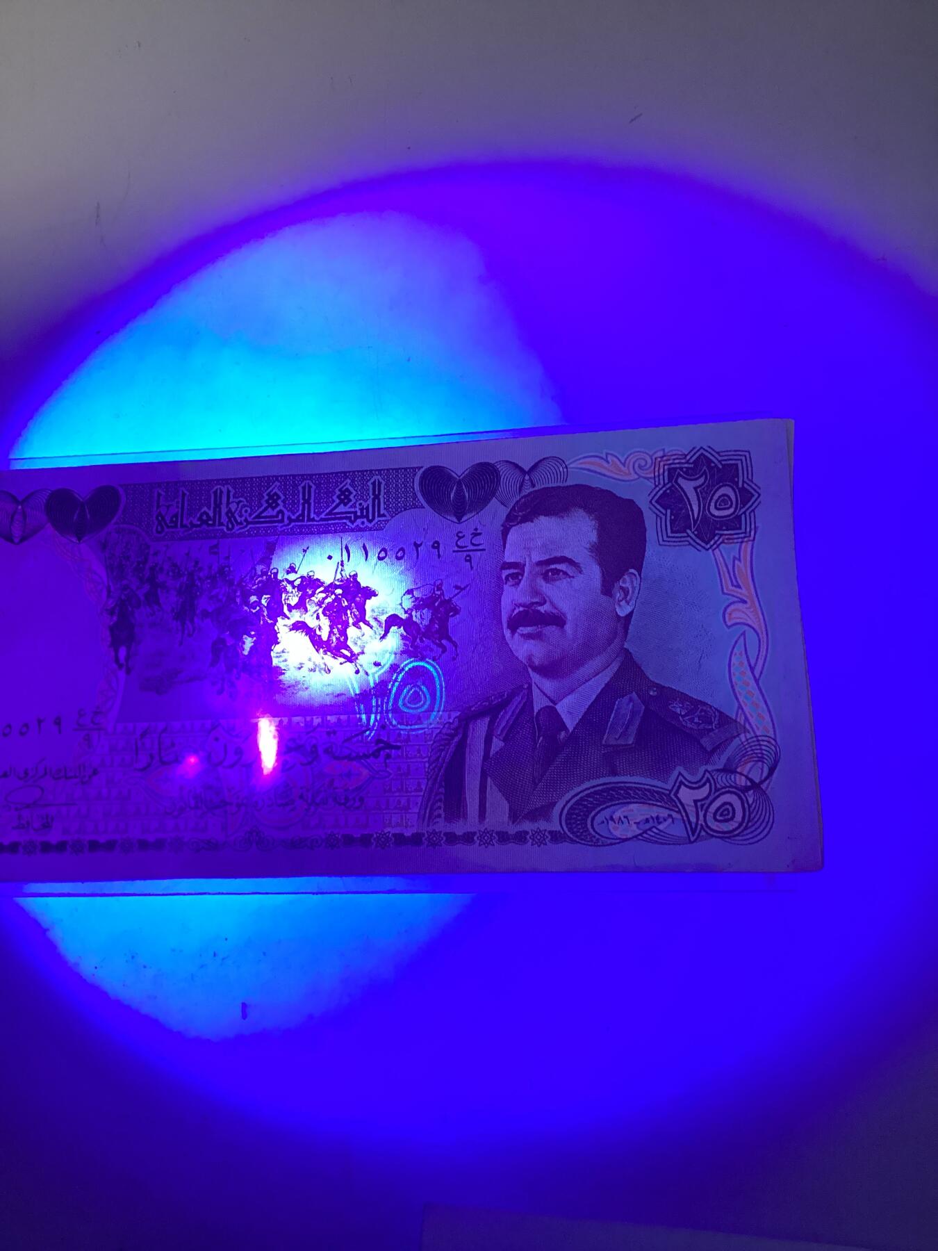 伊拉克（瑞士版）25第纳尔