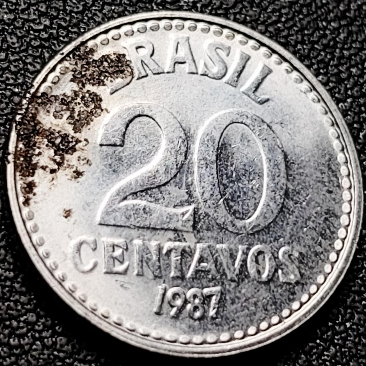 泉币菌-第208场-拍品多 请提前出价