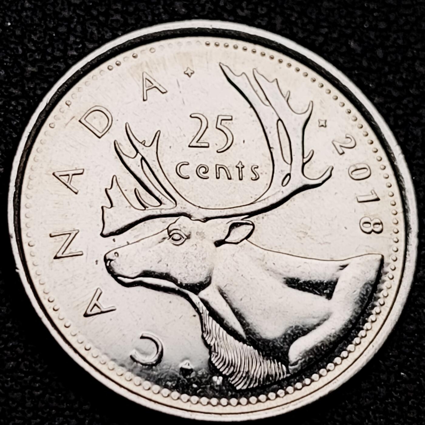 泉币菌-第209场-拍品多 请提前出价 。