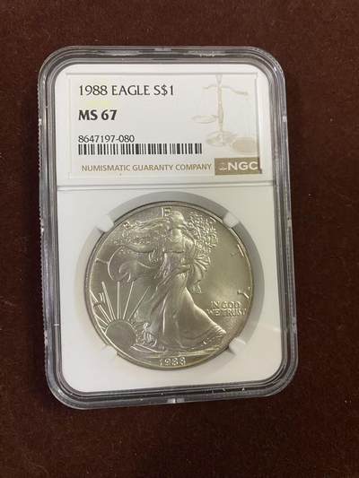 日日生财—银币珍藏专场 - 美国自由女神神鹰1美元银币