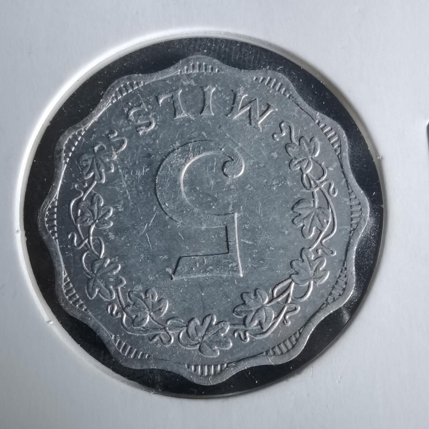 沼泽如烟--第1021场