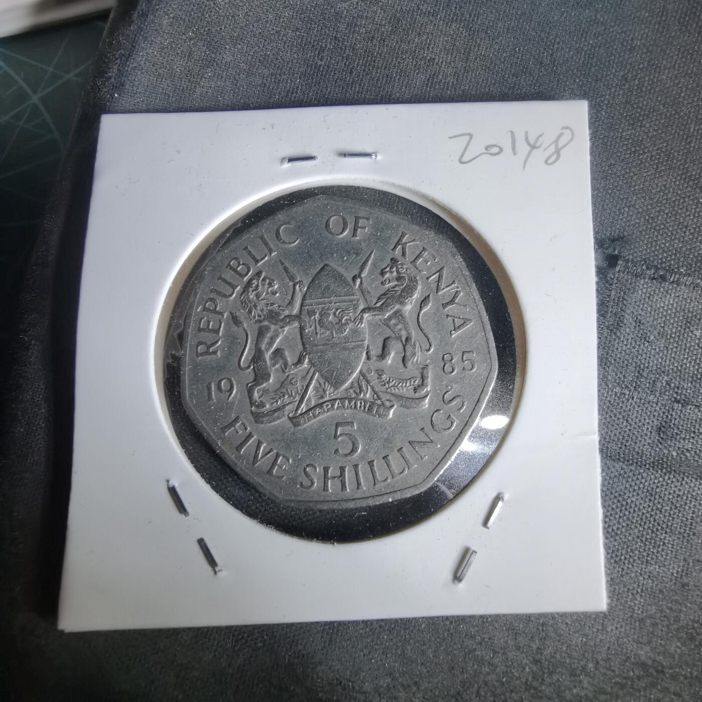 沼泽如烟--第1020场