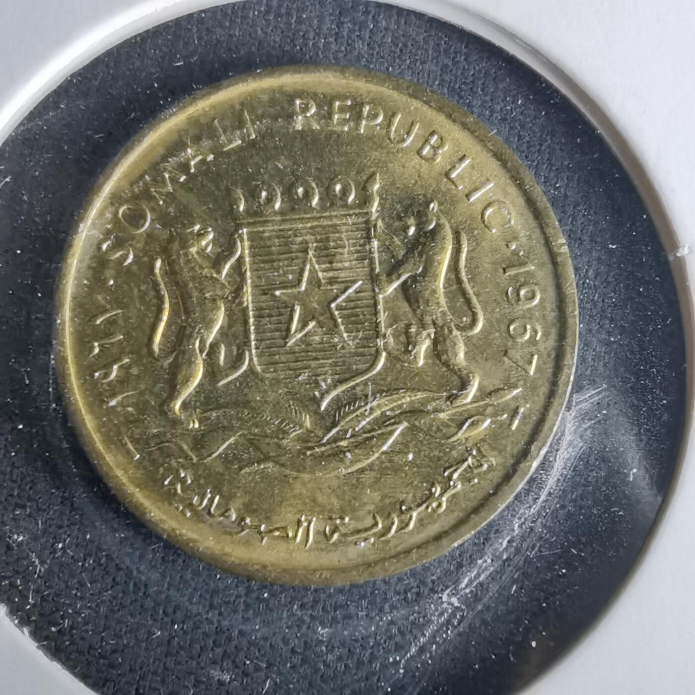 沼泽如烟--第1021场