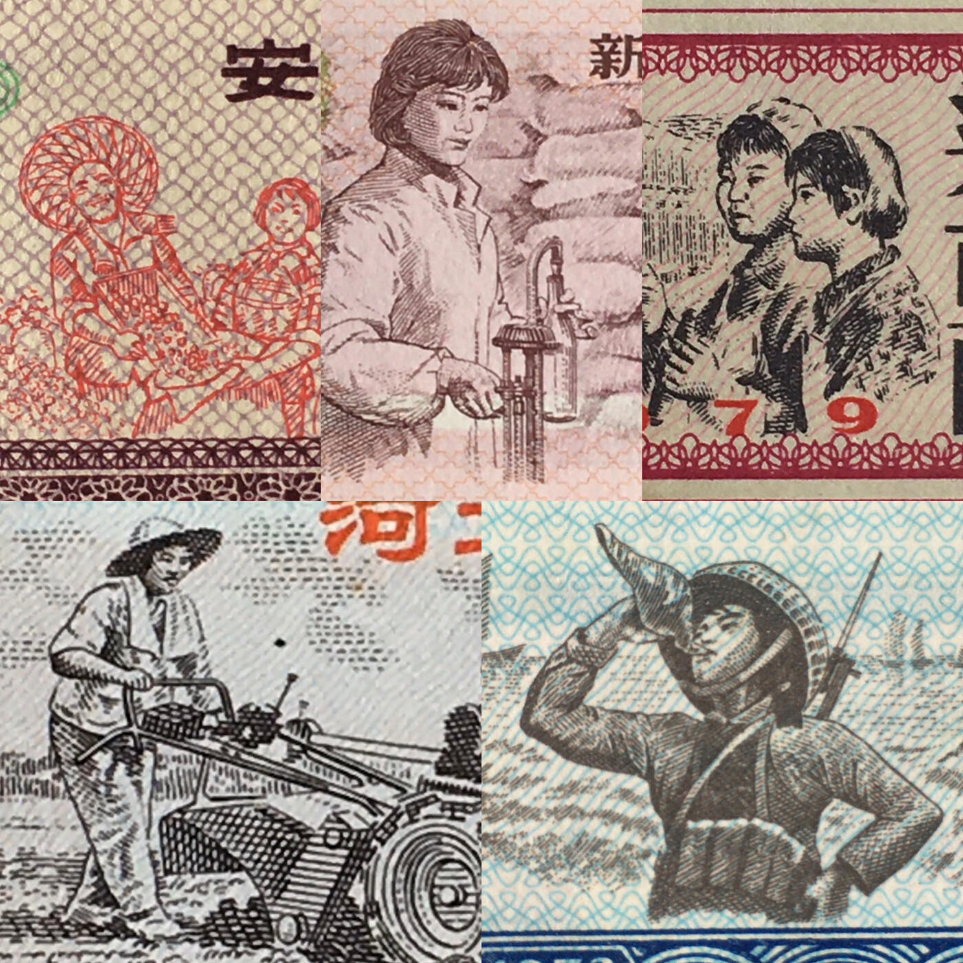       02c五省5枚不同经典人物粮票油票棉花票全新未流通1组真品如图供应票证旧藏文玩艺术收藏