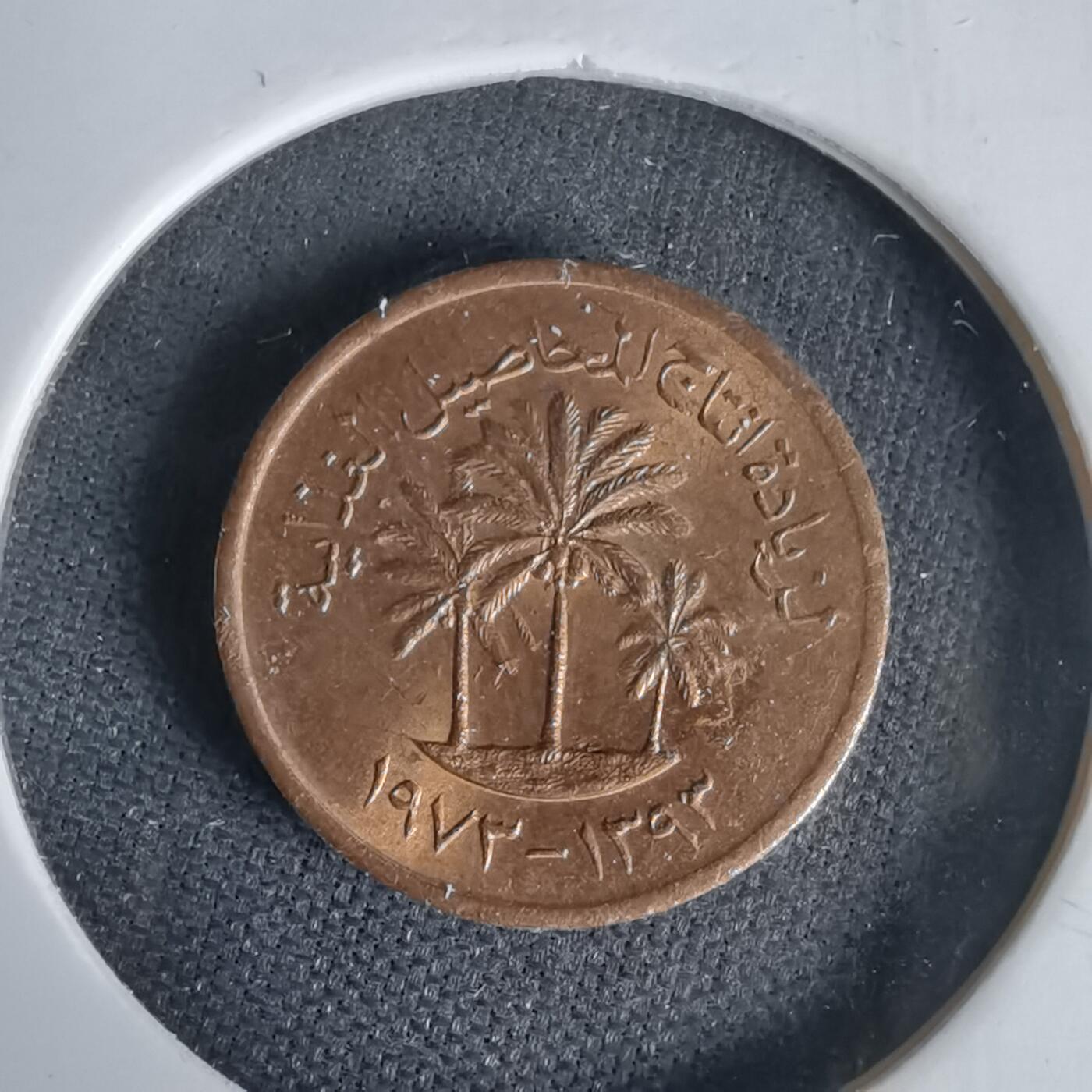 沼泽如烟--第1020场 阿联酋