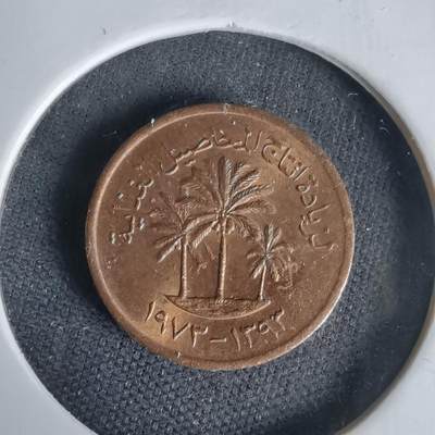 沼泽如烟--第1020场 - 阿联酋