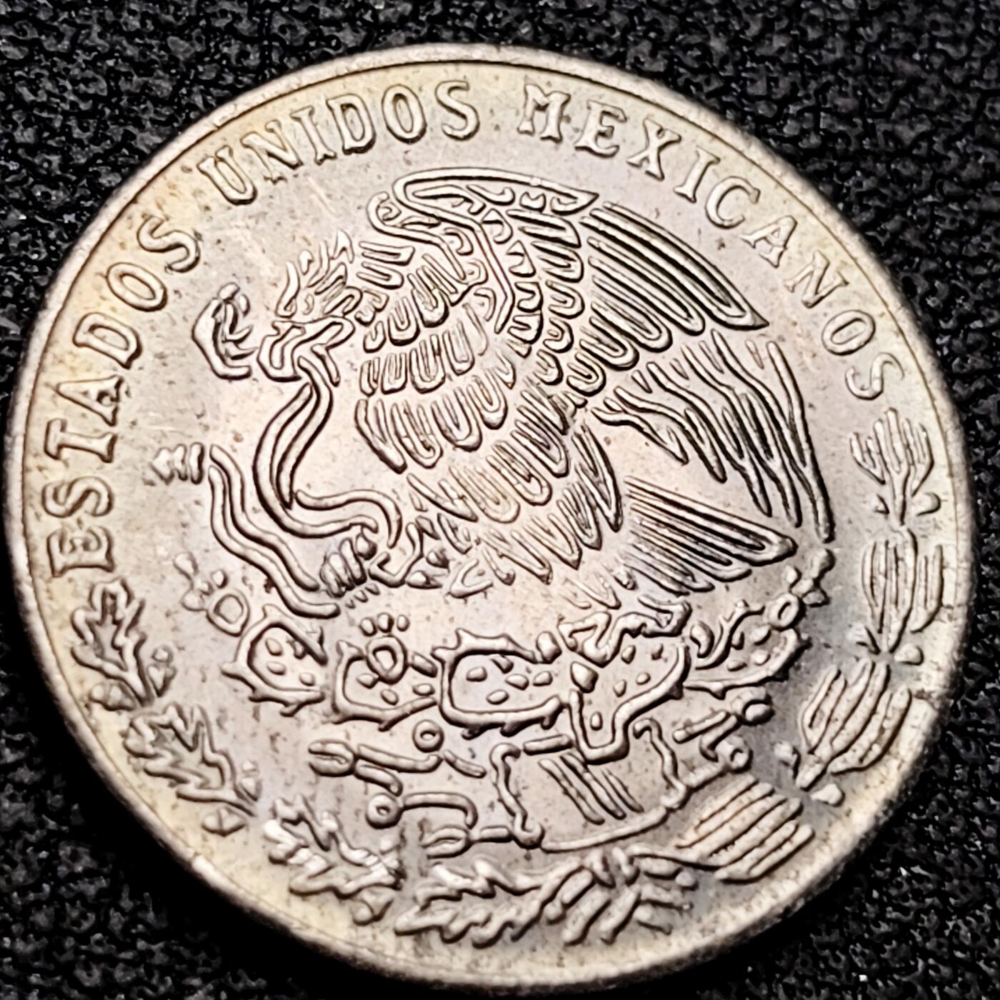 泉币菌-第209场-拍品多 请提前出价 。