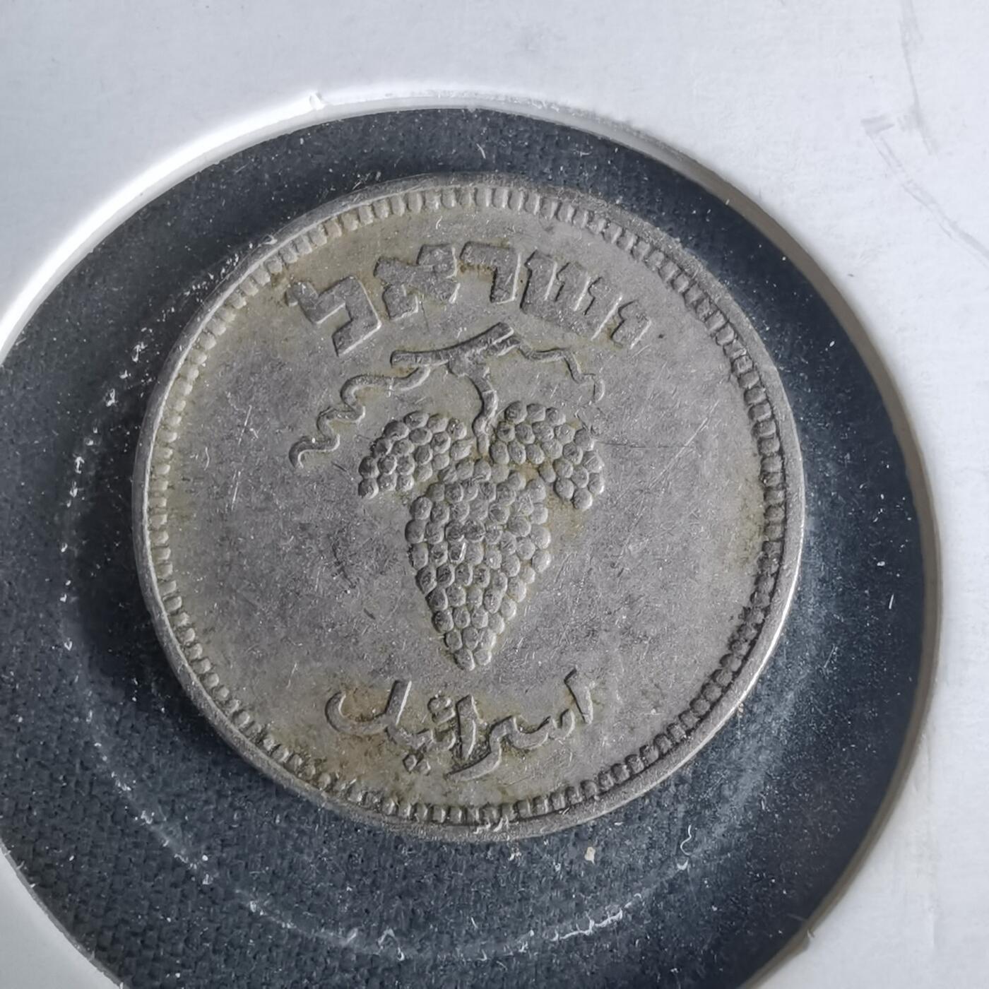 沼泽如烟--第1021场