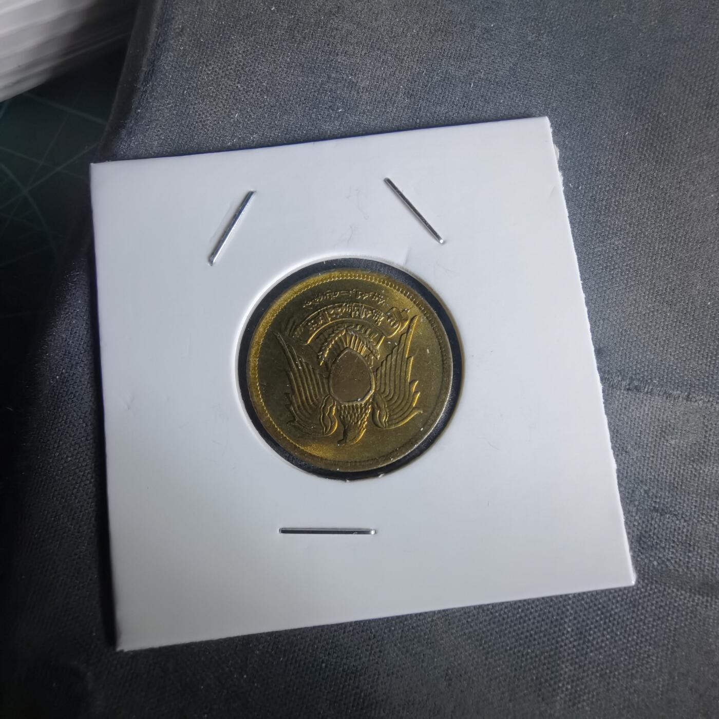 沼泽如烟--第1020场