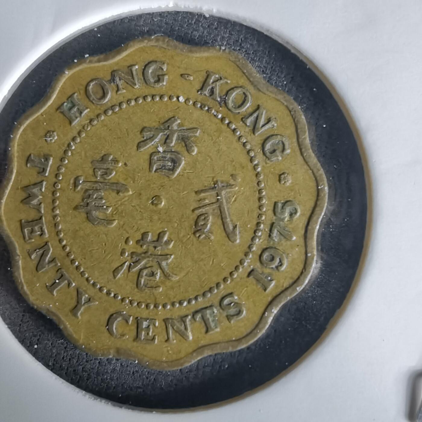 沼泽如烟--第1020场