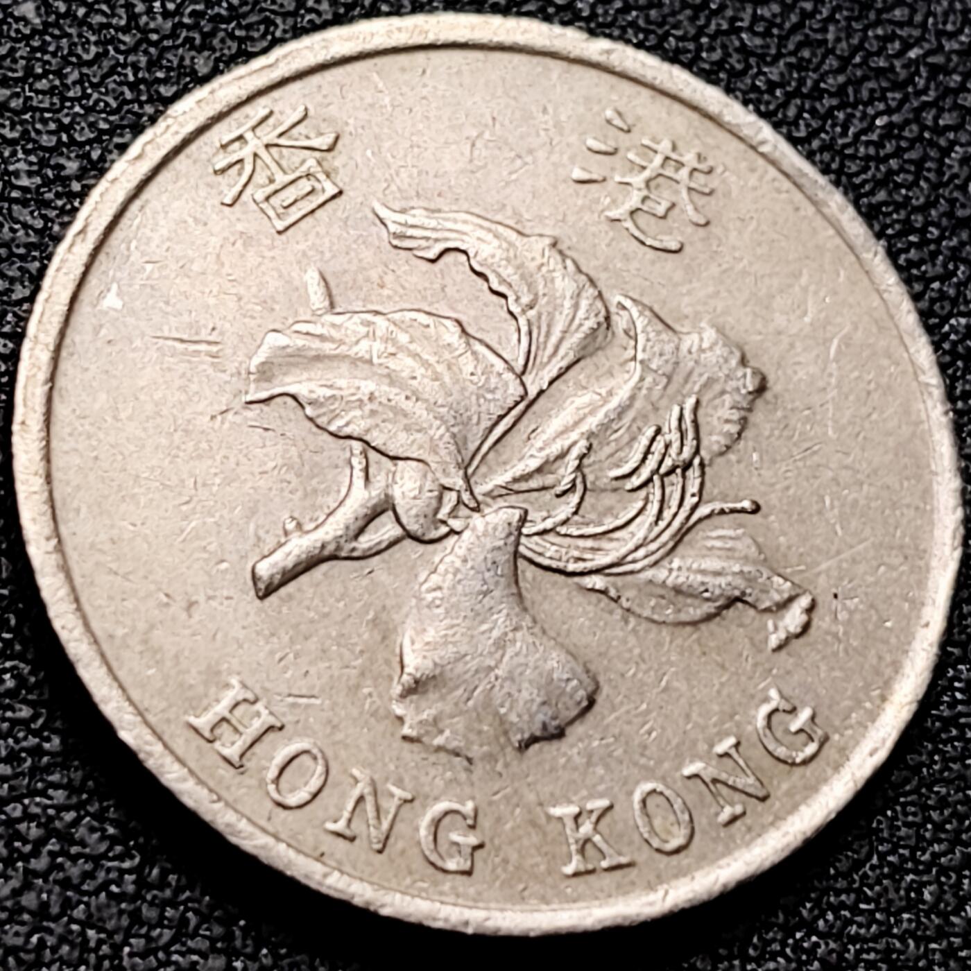 泉币菌-第208场-拍品多 请提前出价