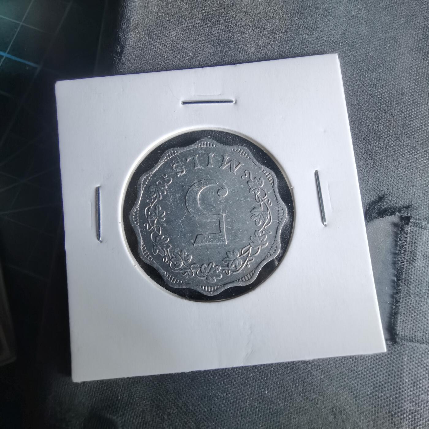 沼泽如烟--第1021场