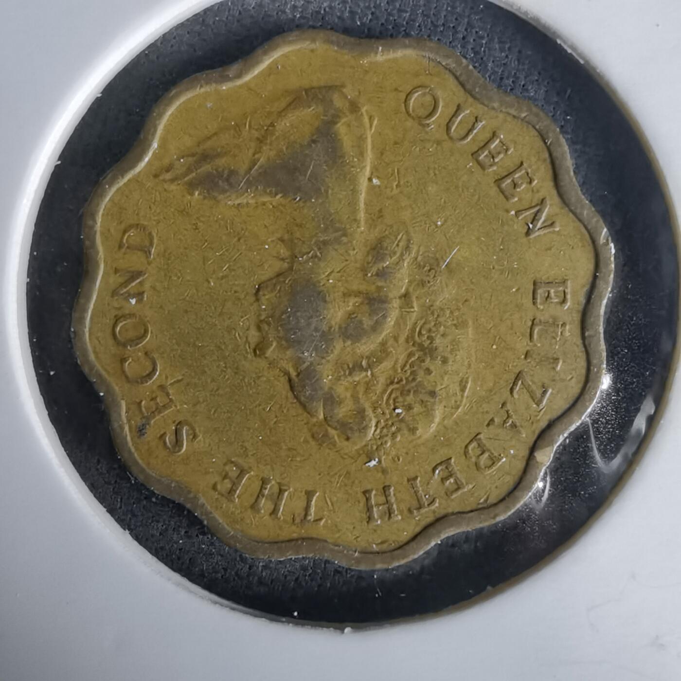 沼泽如烟--第1020场