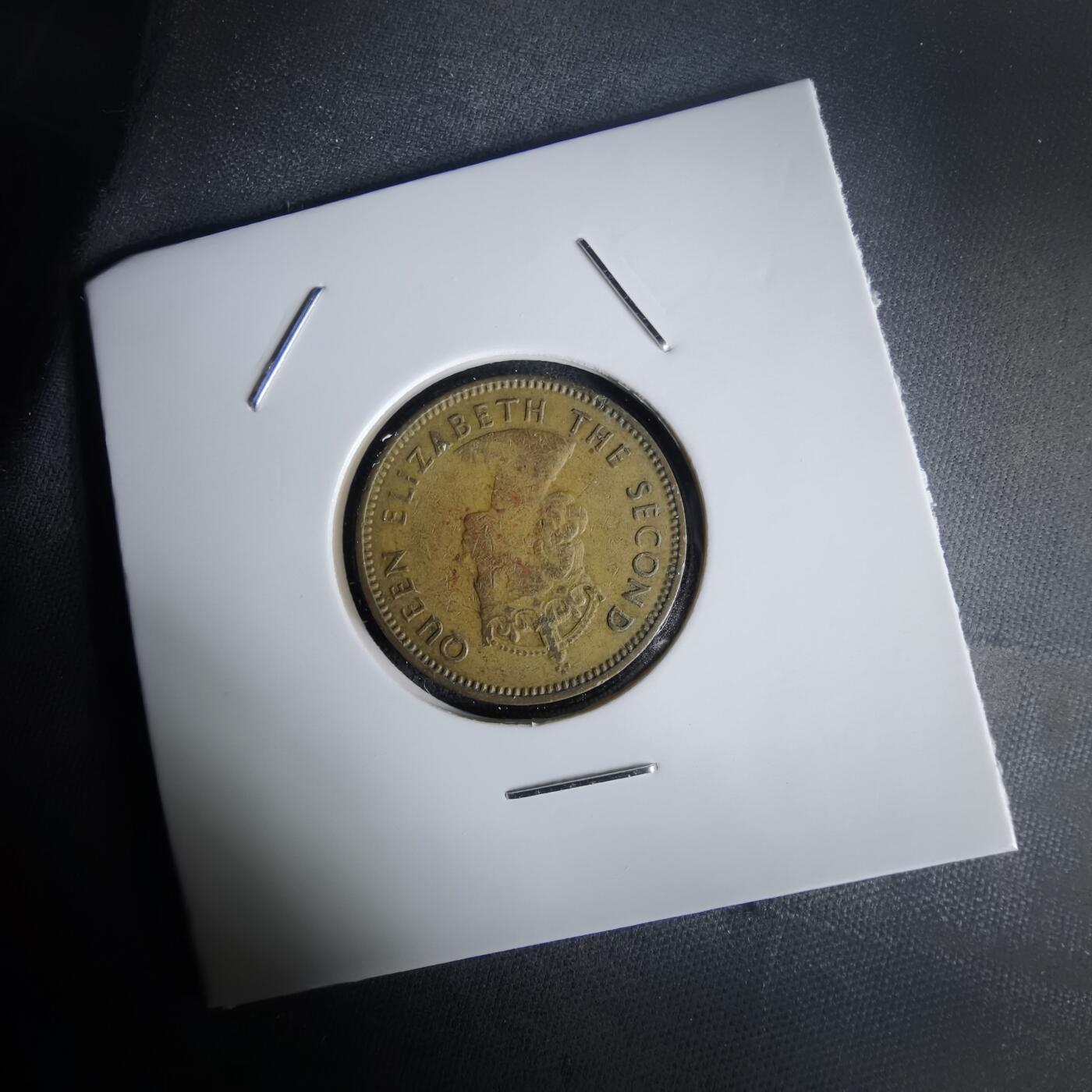 沼泽如烟--第1020场