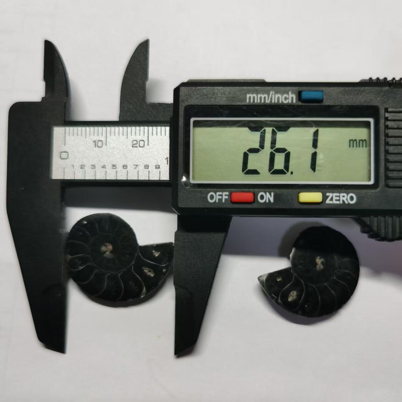 七河·世界币章水晶矿标化石杂件小拍（总第42期）（周一结标） 藏家出品X782（5）马达加斯加中生代菊石化石对开品 本件拍品由合作藏家负责邮寄