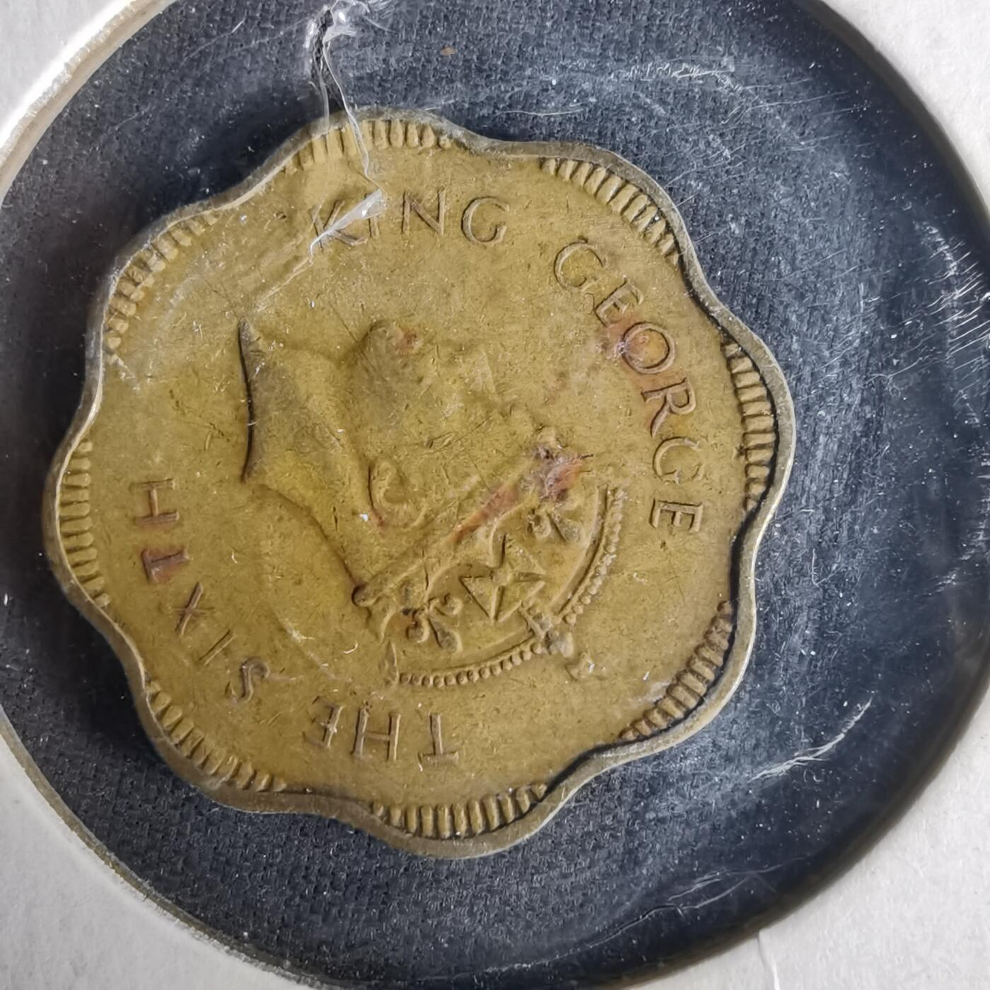 沼泽如烟--第1021场