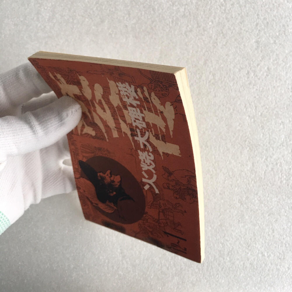       1985年小人书连环画济公全传之一《火烧大碑楼》1本原版真品如图库存旧藏文玩艺术收藏