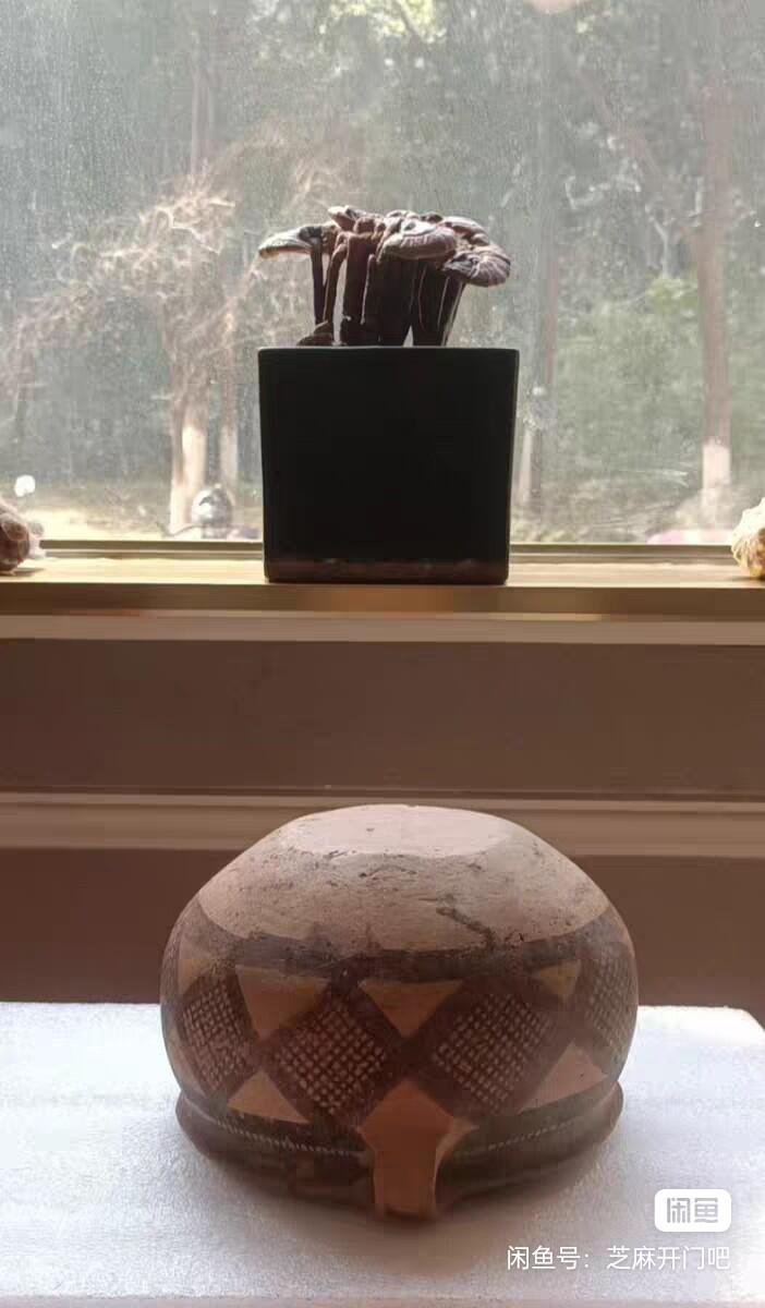 马家窑马厂彩陶罐 马家窑彩陶双耳钵 距今4000年经典红泥网格纹 年代:新石器 该钵属马家窑马厂鸳鸯池类型。特殊物品售出不退。 红黑两彩彩质浓而均匀，既不发亮也不黯淡。胎质干净微微发黄。高11囗径18底10重843克