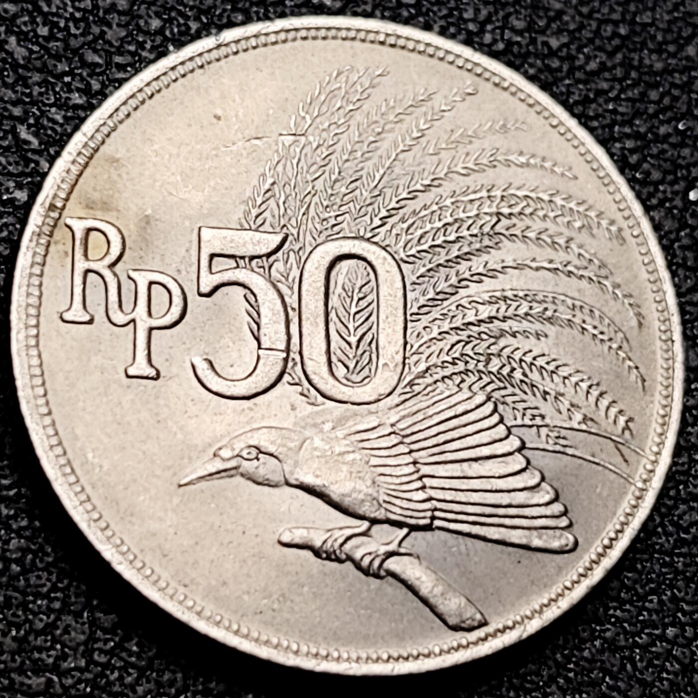 泉币菌-第209场-拍品多 请提前出价 。