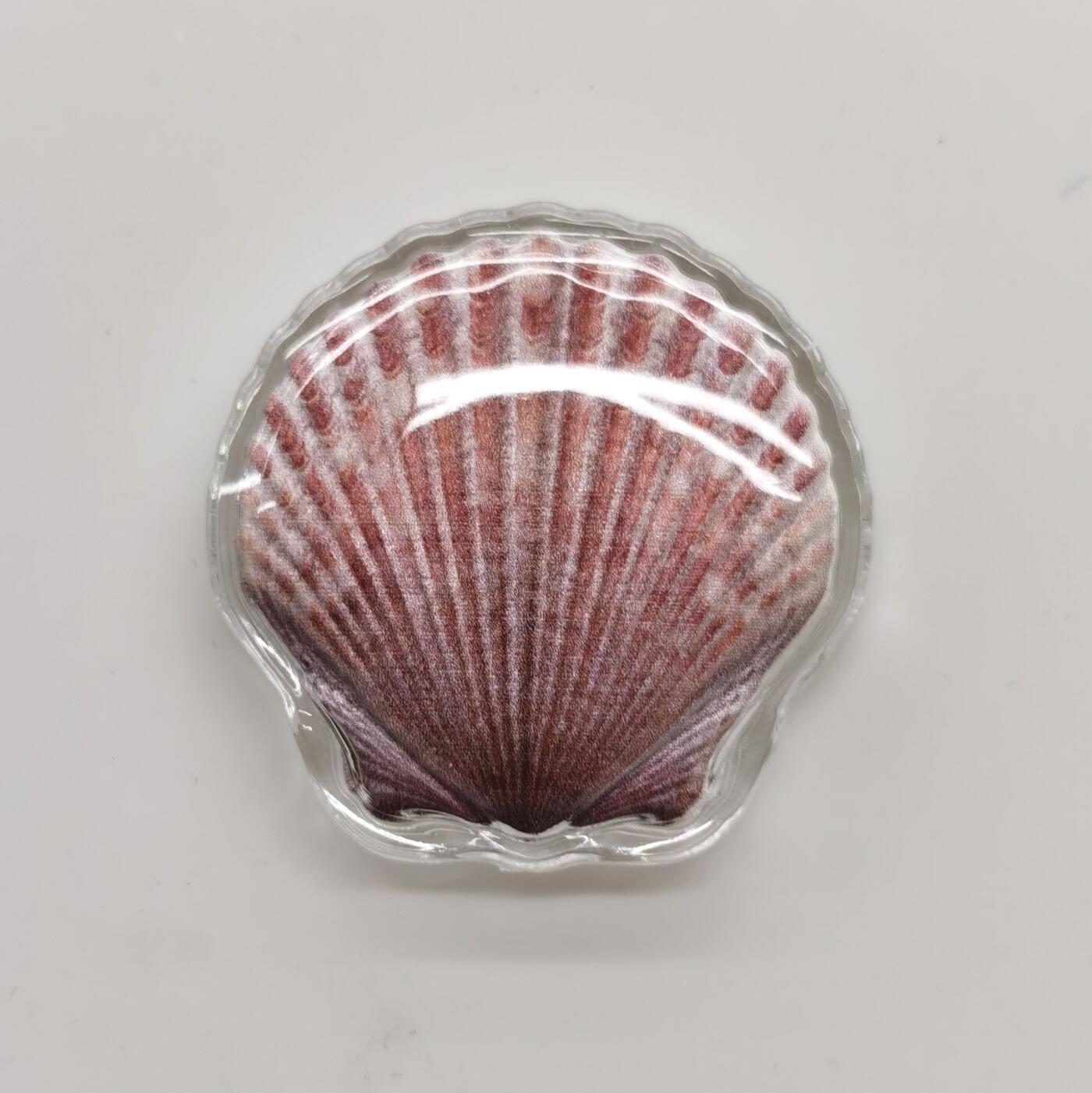 博洋堂世界钱币拍卖第164期（全场包邮） 斐济2019年1元彩色异形银币 扇贝 10克999银 发行量：1万 盒证全