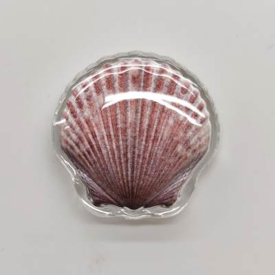 博洋堂世界钱币拍卖第164期（全场包邮） - 斐济2019年1元彩色异形银币 扇贝 10克999银 发行量：1万 盒证全