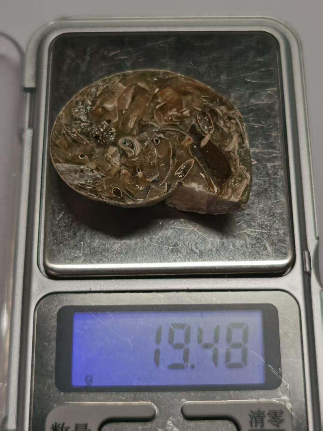 七河·世界币章水晶矿标化石杂件小拍（总第42期）（周一结标）