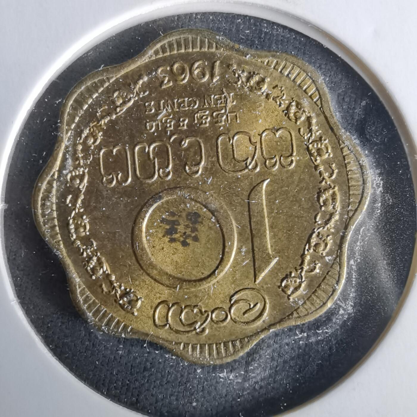 沼泽如烟--第1021场