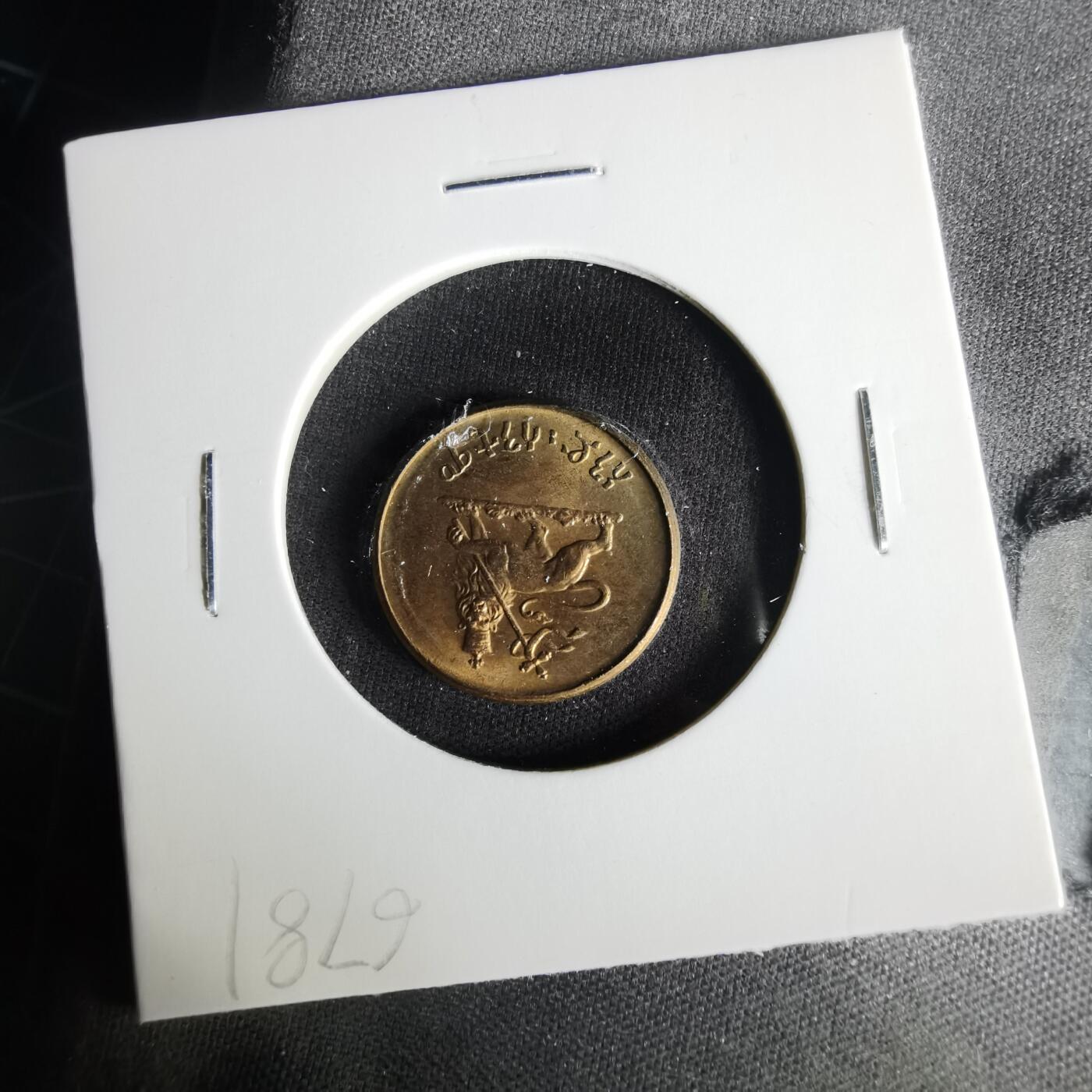 沼泽如烟--第1021场