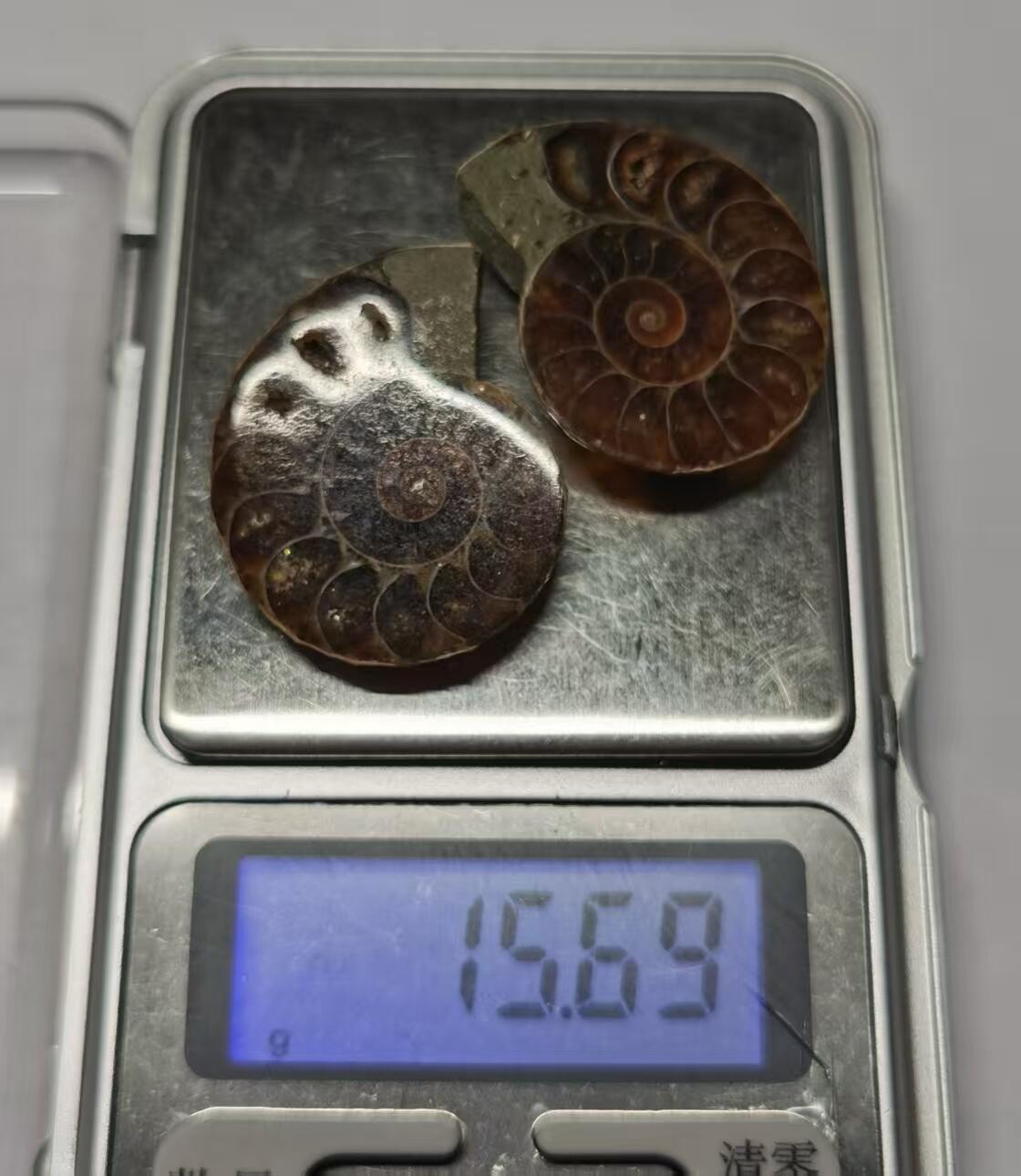 七河·世界币章水晶矿标化石杂件小拍（总第42期）（周一结标） 藏家出品X795（10）马达加斯加中生代菊石化石对开品 本件拍品由合作藏家负责邮寄