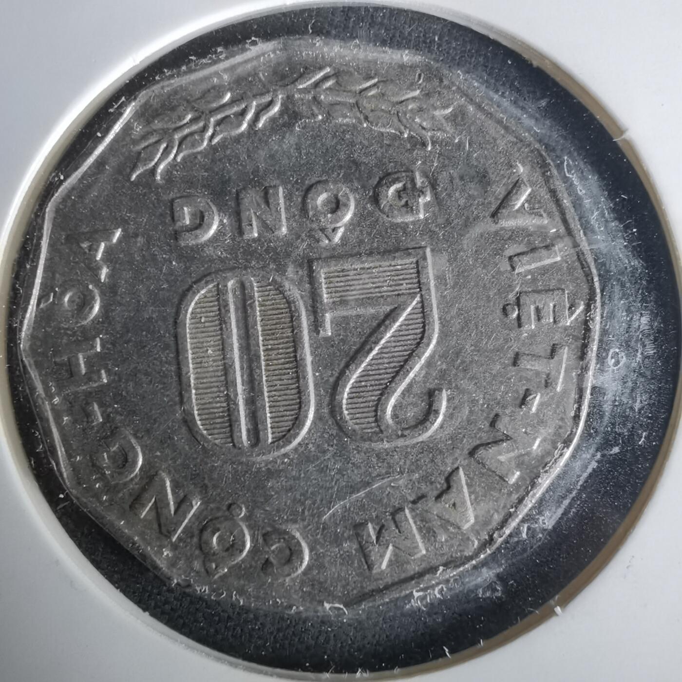 沼泽如烟--第1021场