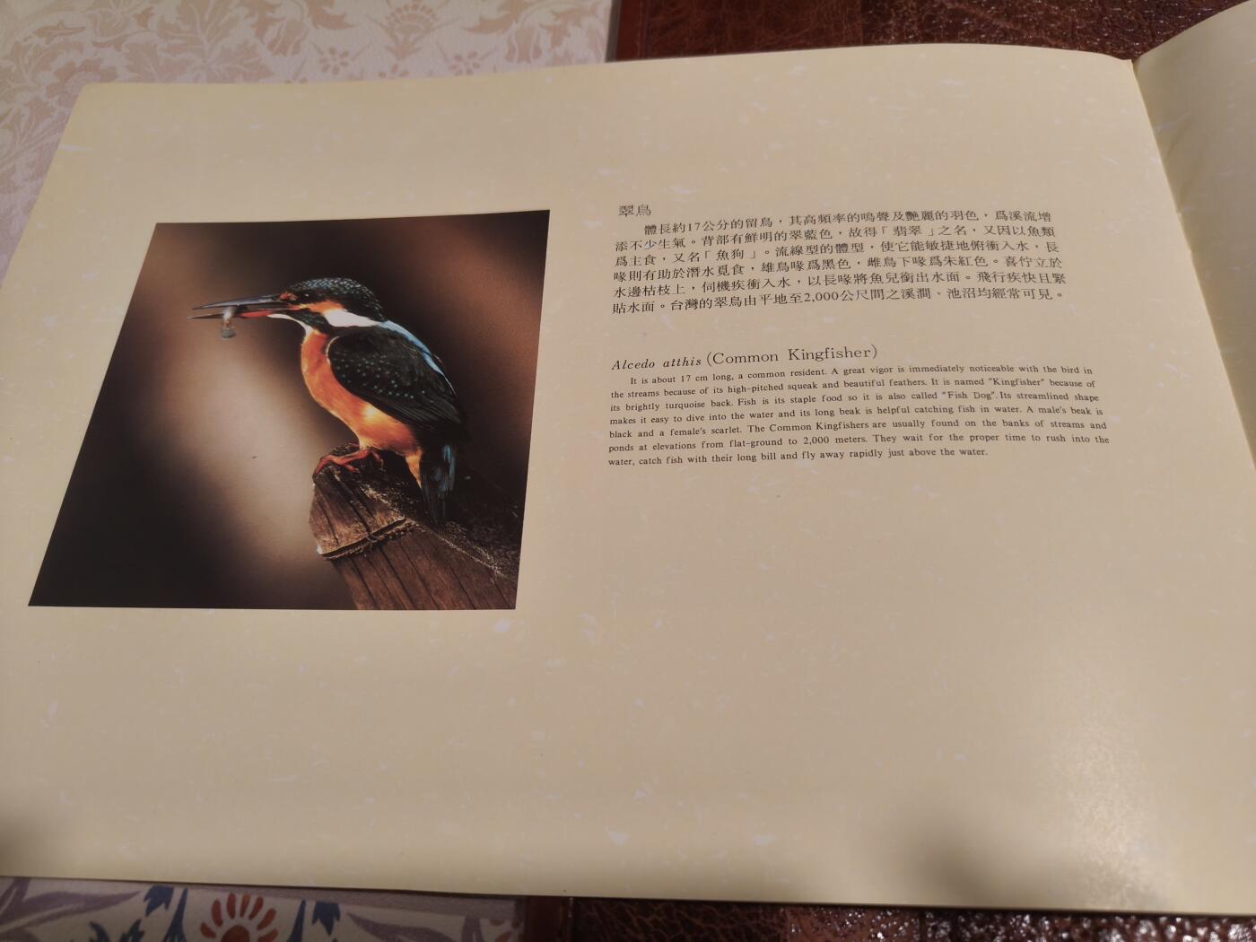 绝版珍藏 1991年台湾溪流鸟类邮票精装册 大版票+全彩图文解说 九五品