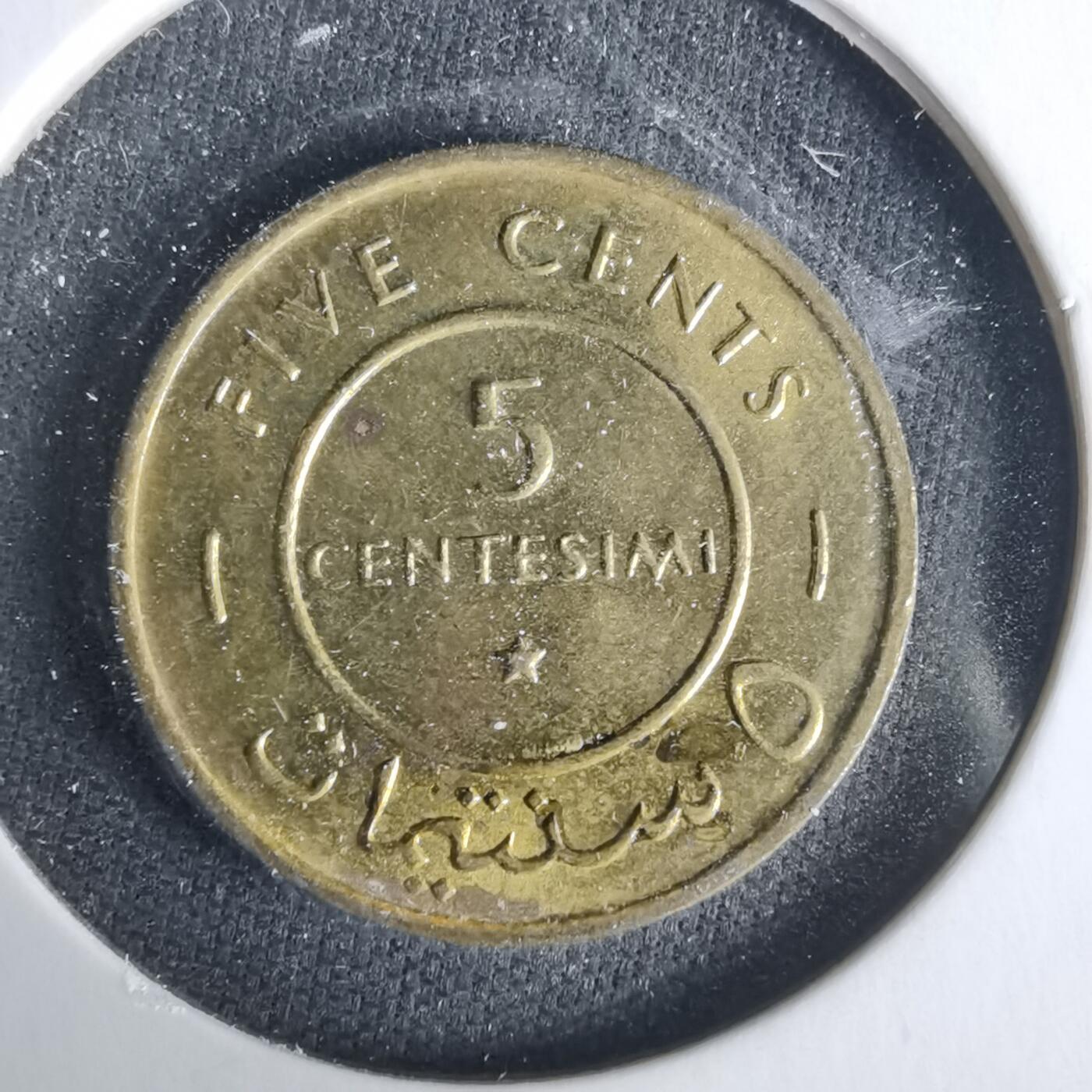 沼泽如烟--第1021场