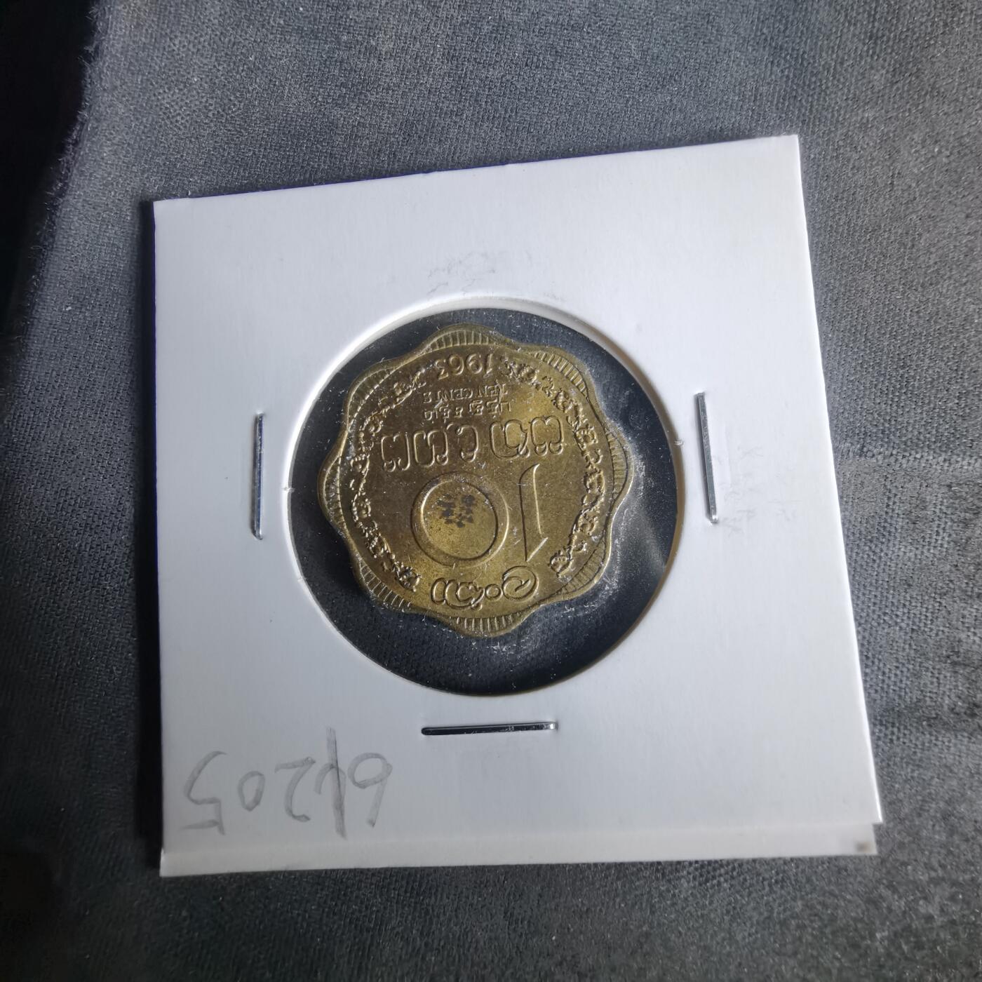 沼泽如烟--第1021场